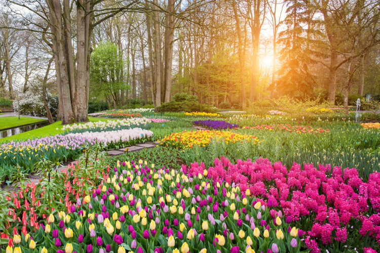 Wildflower Trails - Explore Ohio - Cutler Real Estate